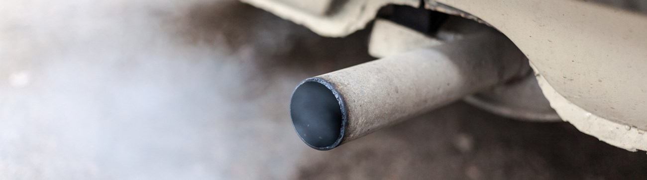 Diesel Fumes from car exhaust