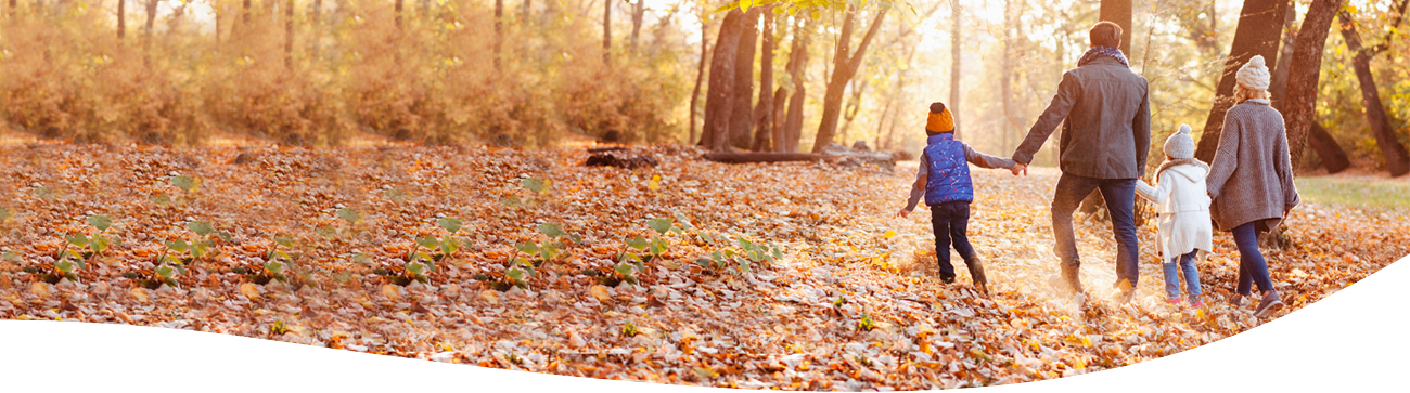 a family holding hands walking through a forest on an autumn day